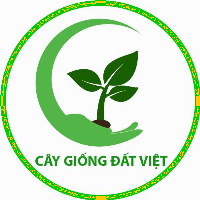 Cây Giống Đất Việt