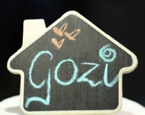 Shop Gozi's House