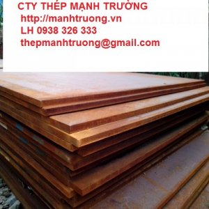 Cty Thép Mạnh Trường