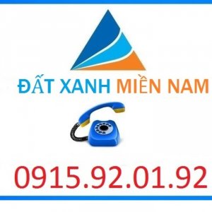 Nguyễn Hồng Niên