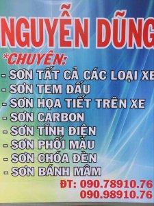 Nguyễn Hoàng Trí Dũng