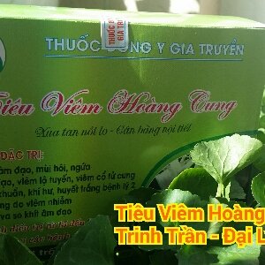 Trinh Trần