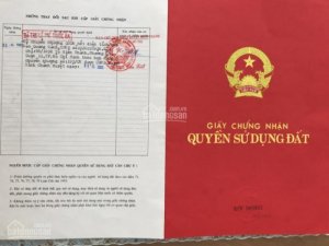 Trần Đại Dương
