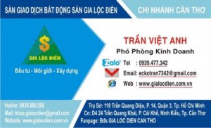 Trần Việt Anh