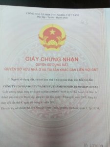 Trương Thảo Nghi