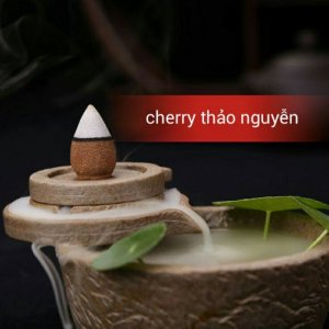 Nguyễn Ngọc Thanh Thảo