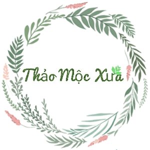 Thảo Mộc Xưa