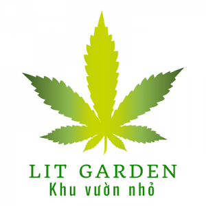 Lit Garden