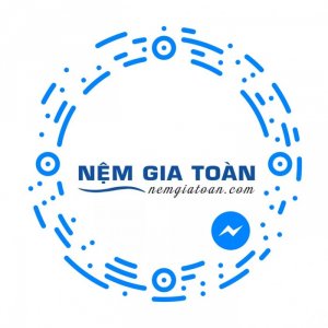 Daily Nệm Gia Toàn