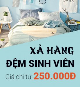 Đệm Giá Rẻ