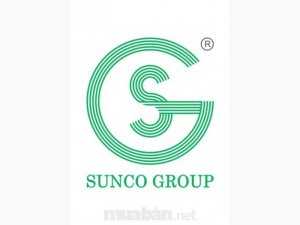 Mr Thức Công Ty Sunco Group Việt Nam