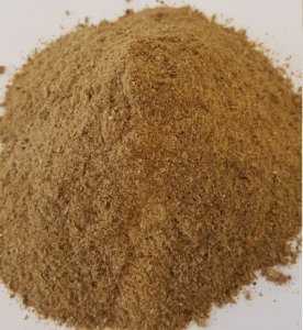 Nguyễn Thị Diễm Thúy