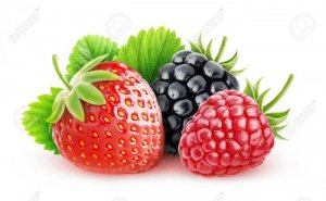 Berry Foods