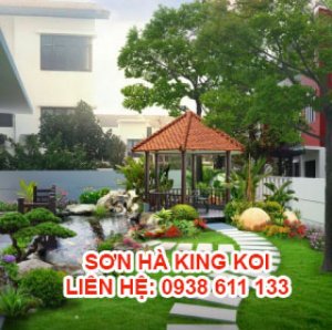 Ảnh đại diện 0971191120