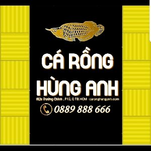 Cá Rồng Hùng Anh