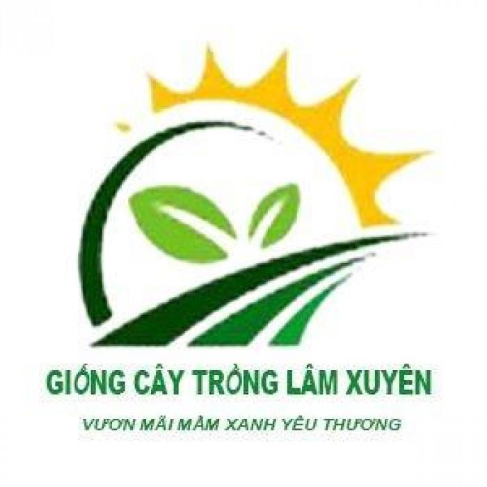 Cây Giống Lâm Xuyên