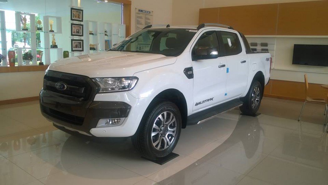 Ảnh bìa của Nguyễn Cương