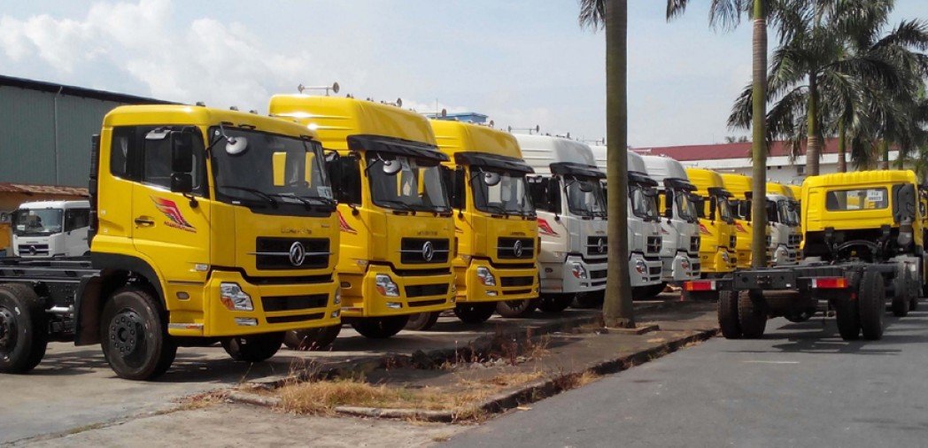 Ảnh bìa của Mr Thạo