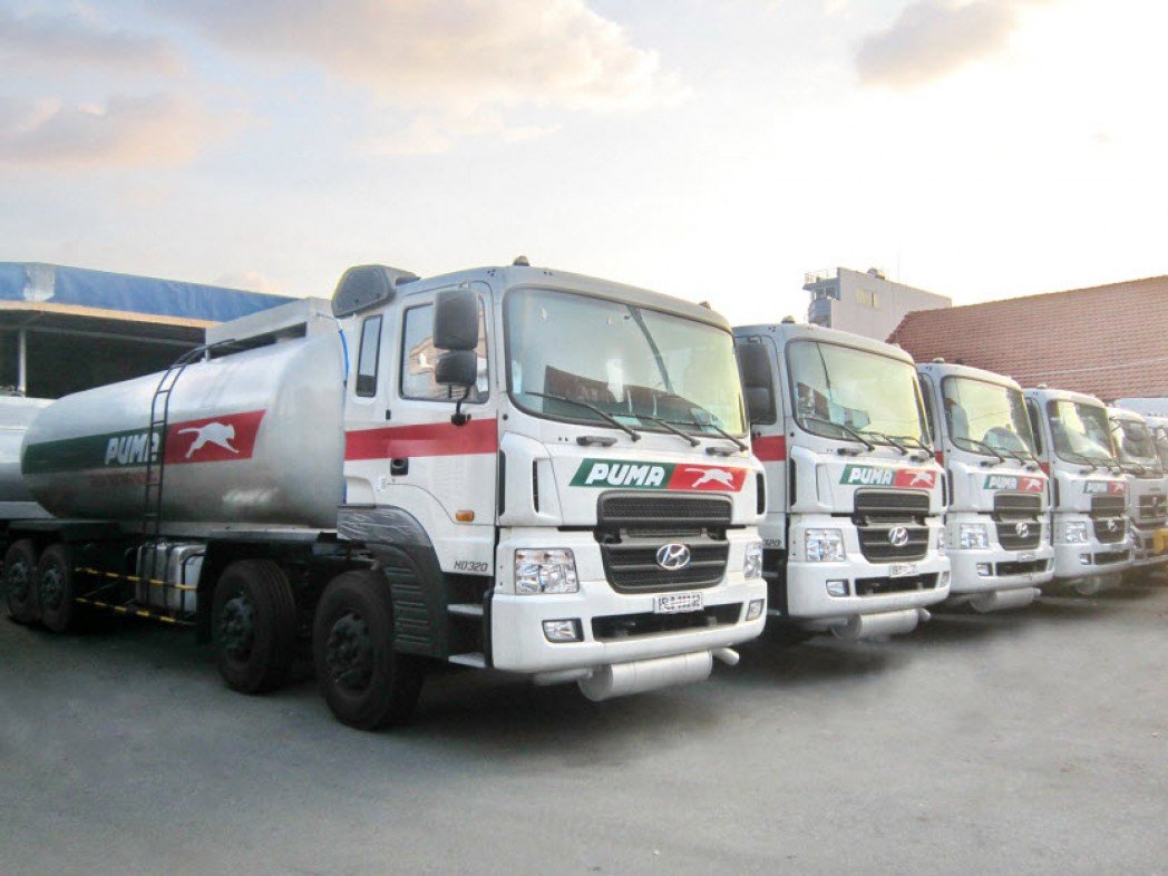 Ảnh bìa của Nguyễn Lưu Quang