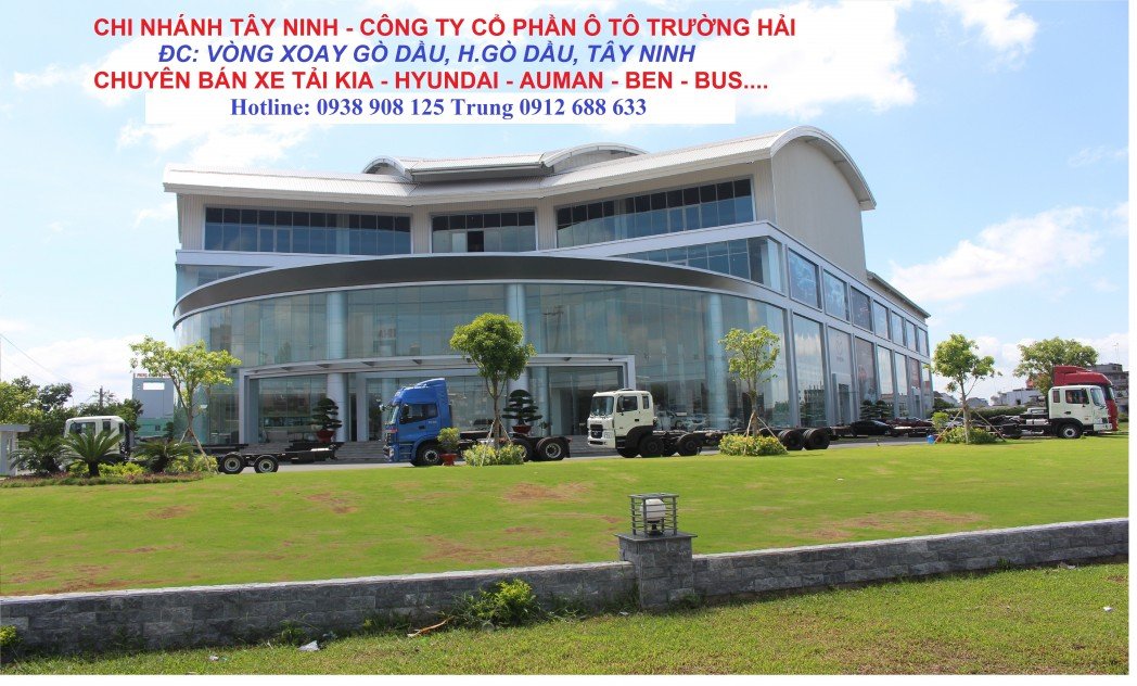 Ảnh bìa của Mr Trung