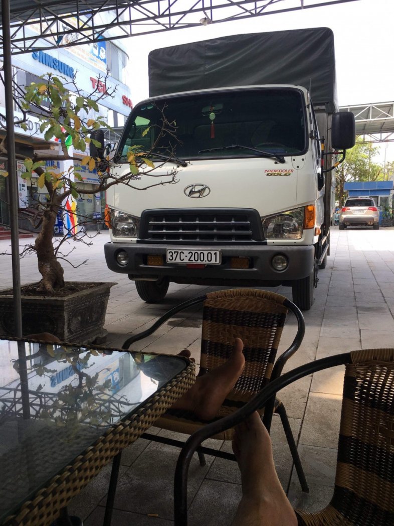 Ảnh bìa của Hồ Phượng