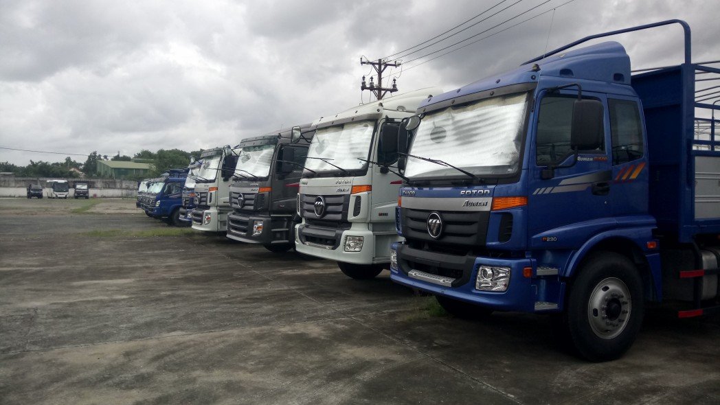 Ảnh bìa của Thanh Tín