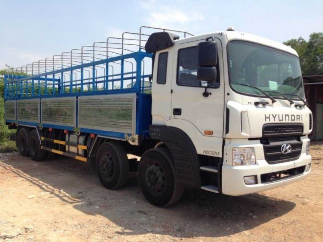 Ảnh bìa của Mr Thủy