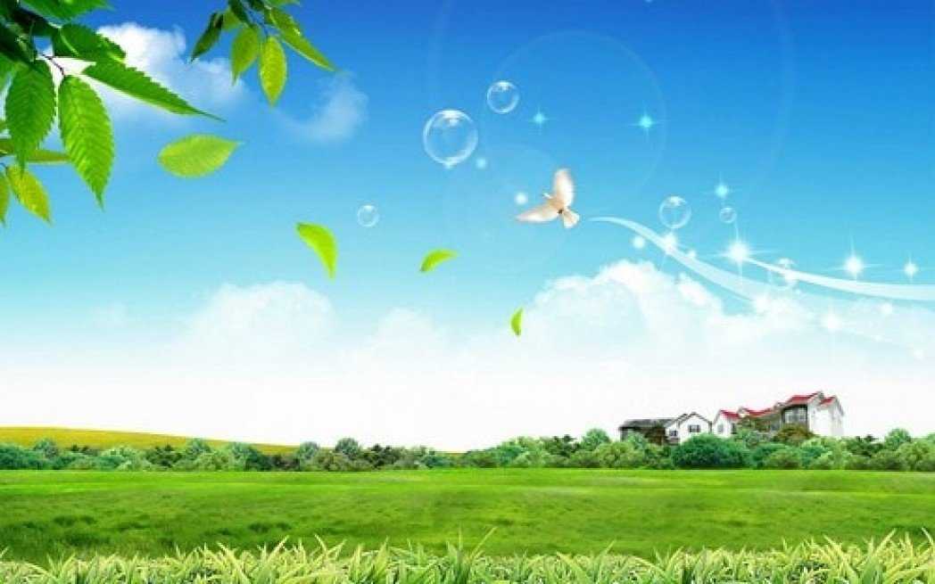 Ảnh bìa của Mỹ Tiền