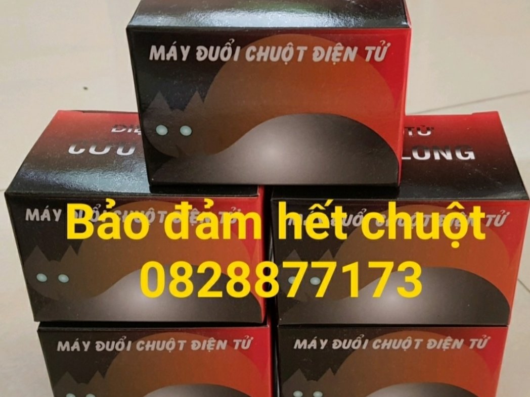 Ảnh bìa của Trần Thanh