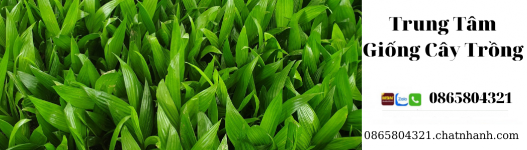 Viện Cây Trồng Trung Ương
