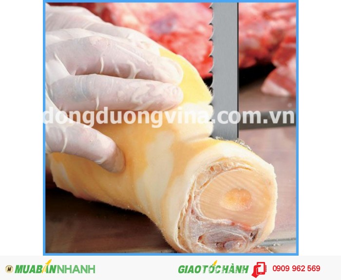 Lưỡi cưa lọng tròn, 44583