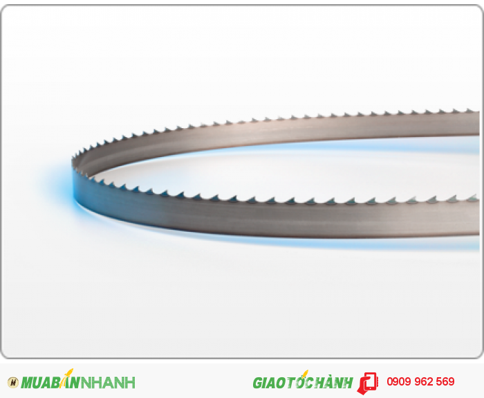 Lưỡi cưa thực phẩm, 44587