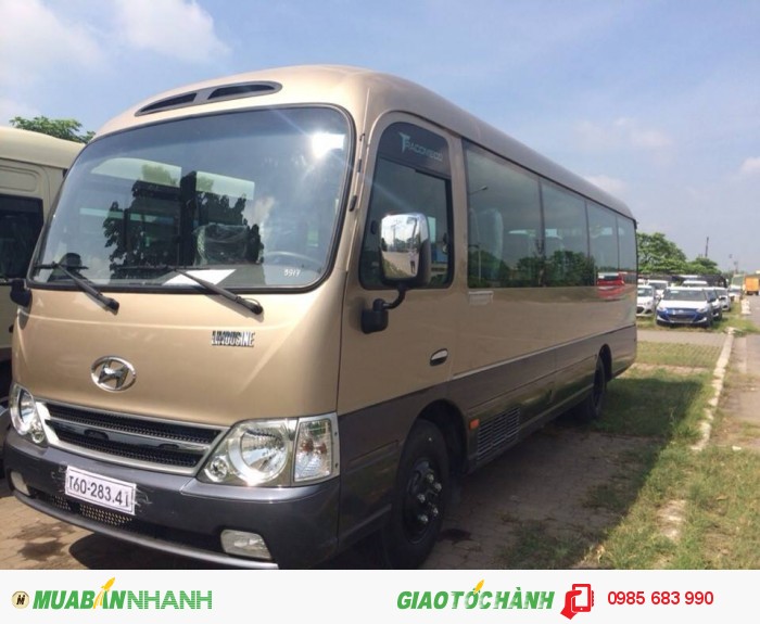 Xe Hyundai County 29 chỗ các dòng Đồng Vàng, Limousine thân dài.