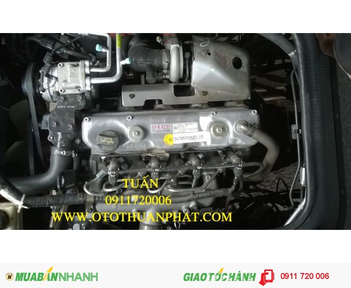 Xe County cửa gold ghế Châu Âu