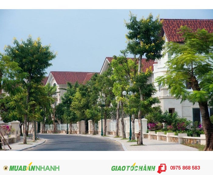 Bán đất Tỉnh Lộ 10, 130m2, 160tr, sổ hồng riêng, bao sang tên