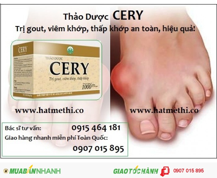 thao-duoc-cery - Trà Cery điều trị gout khớp 55f29ea6ce687_1441963686