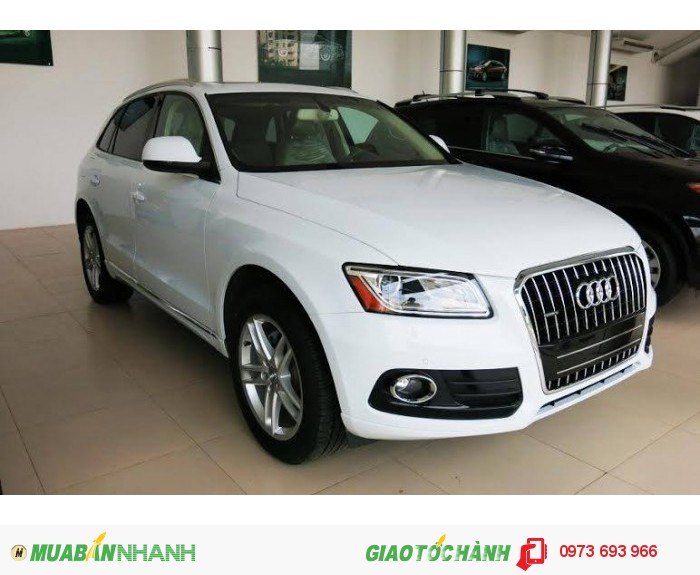 Audi Q5 2.0T