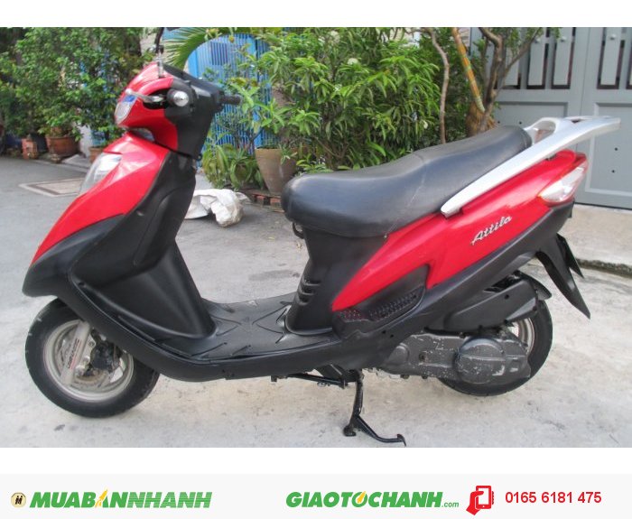 Attila Victoria chân thường, màu đỏ