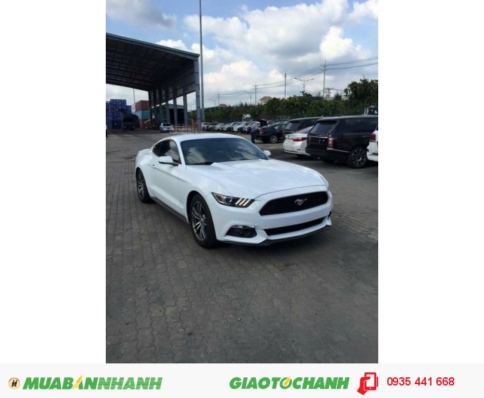 Ford Mustang Ecoboot Convertible 2.3 - 2015 Đủ Màu