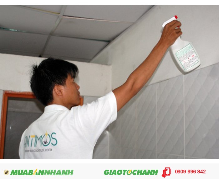 Sơn trong đuổi muỗi Antimos | Quy cách: 600ml | Giá: 200.000đ | Mô tả: Antimos là dạng Sơn nước đến từ thiên nhiên lần đầu tiên xuất hiện tại Việt Nam với một công thức hoàn chỉnh gồm Acylic latex, tinh dầu, thảo mộc thiên nhiên, kết hợp với hoạt chất siêu nhỏ chất lượng cao và an toàn của các hãng lớn trên thế giới như BASF (CHLB Đức), Syngenta (Thụy Sỹ), Hockley, Agropharm, Hand Associates (Anh quốc), Sumitomo (Nhật Bản),…được tích hợp trong các viên nang Microencaosuate, sản xuất theo công nghệ Biotech từ CHÂU ÂU., 2