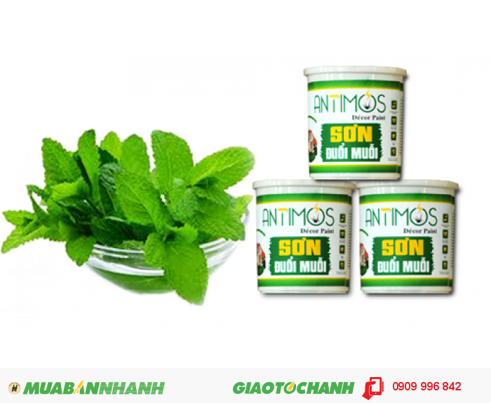 Sơn màu đuổi muỗi Antimos Decor - Thời gian hiệu quả: 24 tháng kể từ ngày sơn, 5