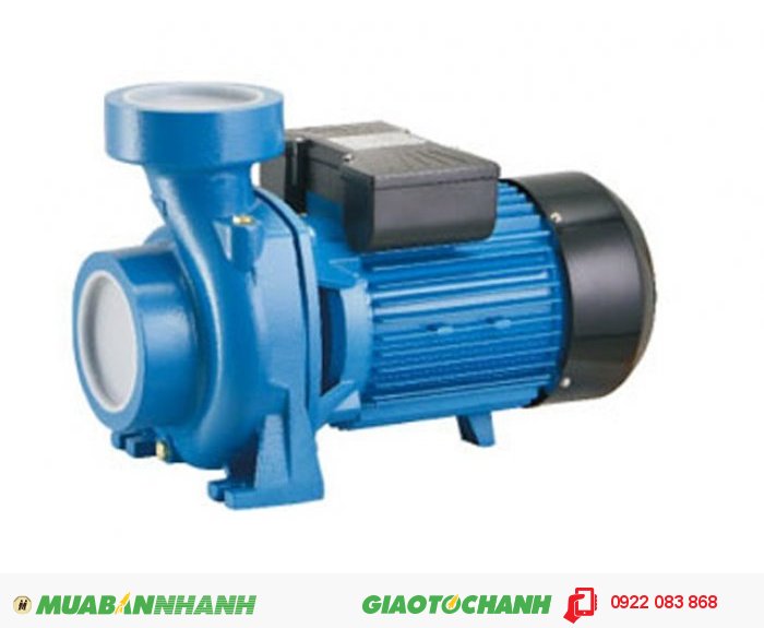 Máy bơm lưu lượng Lepono XGM-1A, 1