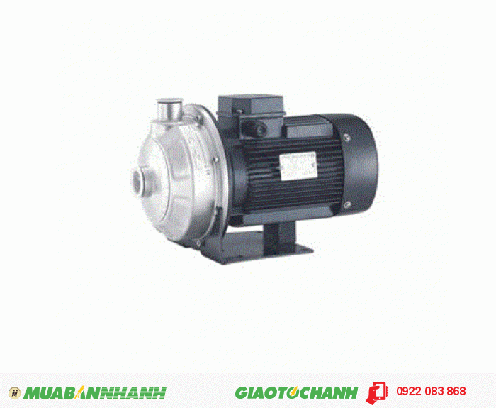 Máy bơm nước LEPONO AMSm70, 1