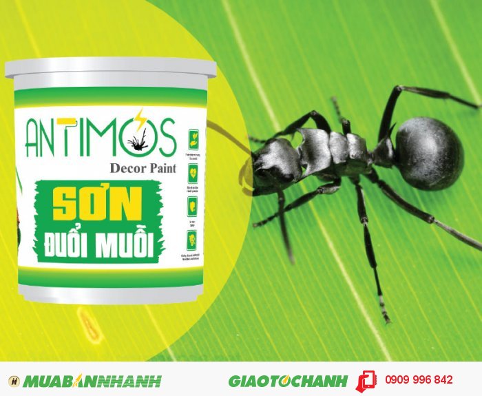 Sơn màu đuổi côn trùng Antimos | Quy cách: 1000ml | Giá: 250.000đ | Mô tả: Nên sử dụng sơn Antimos đuổi côn trùng ở các khu vực khác như sân vườn, hàng rào, các chậu cây kiển để phòng tránh ruồi giấm từ những nơi khác xâm nhập vào nhà vệ sinh. Sơn khô nhanh và lớp phủ sơn có bề mặt bán mờ. Sản phẩm được sử dụng trong các công trình dân dụng như nhà ở, trường học hoặc văn phòng, quán café, nhà hàng, khách sạn, công ty chế biến thực phẩm, trang trại chăn nuôi gia súc…, 4