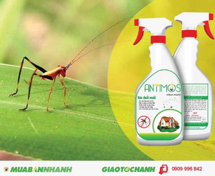 Sơn trong đuổi côn trùng Antimos | Quy cách: 600ml | Giá: 200.000đ | Mô tả: Antimos là sơn phủ hệ nước, được đóng gói riêng biệt. Sơn khô nhanh và lớp phủ sơn có bề mặt bán mờ. Sơn có thể được sử dụng trực tiếp trên các bề mặt gỗ, tường, gạch, đá, thạch cao hoặc bất kỳ bề mặt nào (kể cả giấy dán tường) mà không phải sử dụng thêm các biện pháp trang trí khác. Sơn có khả năng đuổi muỗi và côn trùng hiệu quả, 5