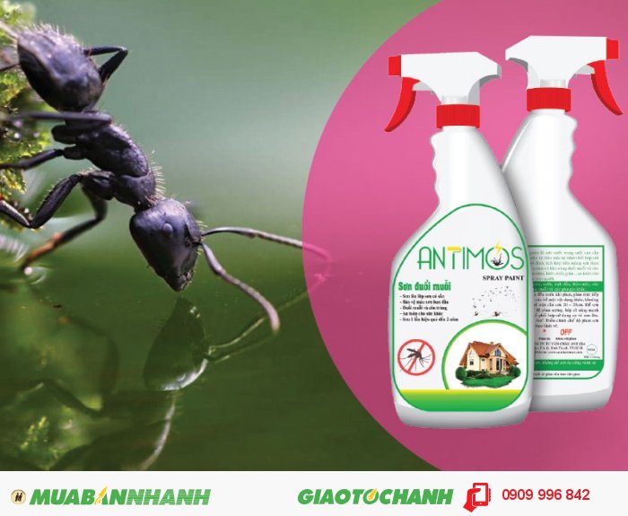 Sơn trong đuổi muỗi Antimos | Quy cách: 600ml | Giá: 200.000đ | Mô tả: Các hợp chất đuổi muỗi, kiến sẽ tác động trực tiếp đến côn trùng và chuyển hóa liên tục từ trong viên nang đến màng sơn giúp quá trình “đuổi kiến hôi” diễn ra liên tục và bền bỉ trong khoảng thời gian từ 1-2 năm., 4