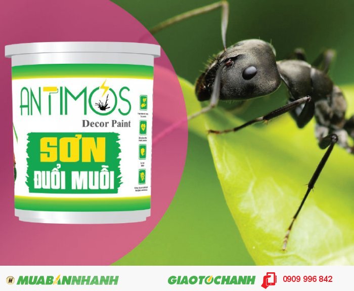 Sơn màu đuổi muỗi Antimos | Quy cách: 1000ml | Giá: 250.000đ | Mô tả: Antimos là một dòng sơn mới, mang tính cách mạng nhờ vào khả năng có thể ngăn được muỗi và các loại côn trùng khác. Bằng việc sử dụng những viên nang Polymer siêu nhỏ sẽ giúp pha trộn dễ dàng các hợp chất đuổi muỗi vào trong sơn và để chúng phản ứng chậm trong suốt quá trình sử dụng. Sơn ngoài khả năng đuổi muỗi còn có tác dụng chống kiến hôi hiệu quả, 5