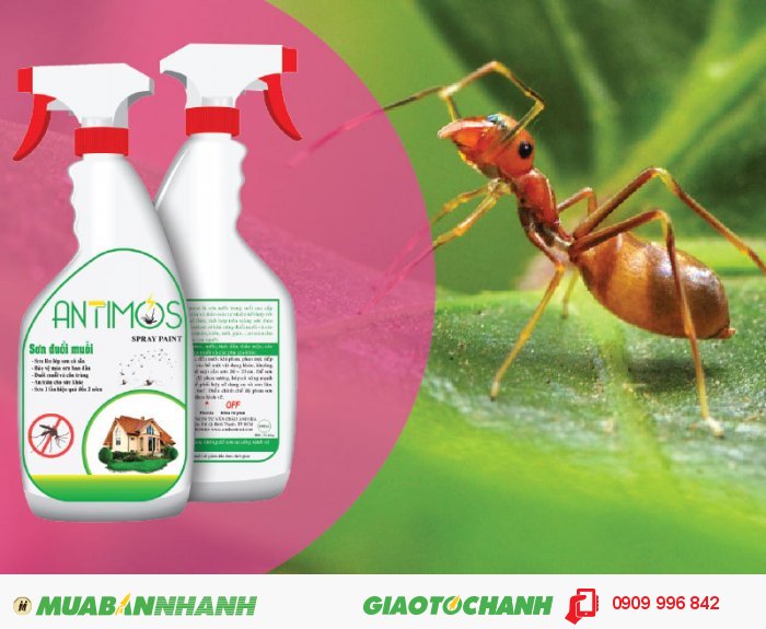 Sơn trong đuổi muỗi Antimos | Quy cách: 600ml | Giá: 200.000đ | Mô tả: Antimos là một dòng sơn mới, mang tính cách mạng nhờ vào khả năng có thể ngăn được muỗi và các loại côn trùng khác, như kiến hôi, kiến đen và kiến lửa... Giúp gia đình bạn không còn lo lắng đối mặt với kiến nữa, 1