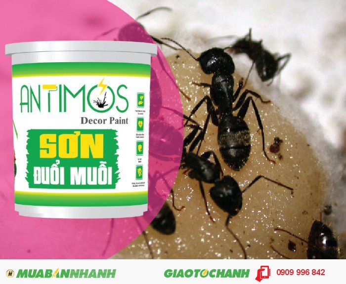 Sơn màu đuổi kiến Antimos | Quy cách: 1000ml | Giá: 250.000đ | Mô tả: Sơn chứa các hợp chất đuổi kiến sẽ tác động trực tiếp đến côn trùng và chuyển hóa liên tục từ trong viên nang đến màng sơn giúp quá trình “đuổi muỗi” diễn ra liên tục và bền bỉ trong khoảng thời gian từ 1-2 năm., 2