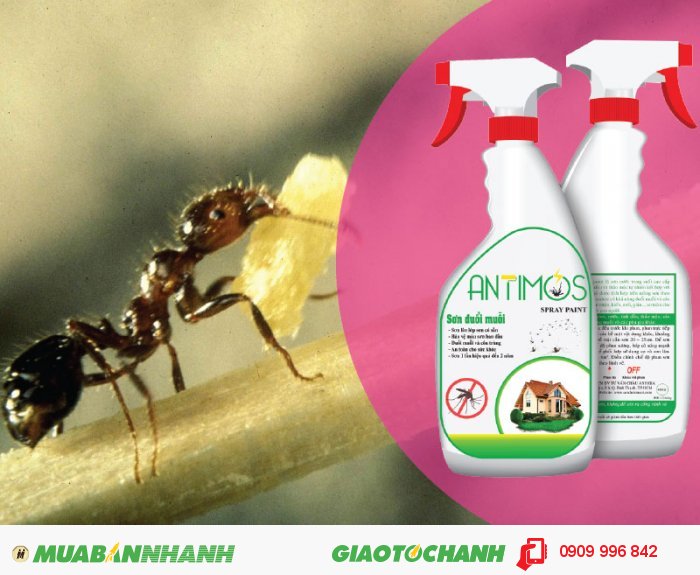 Sơn trong đuổi kiến Antimos | Quy cách: 600ml | Giá: 200.000đ | Mô tả: Sơn Antimos đã được chứng nhận bởi Viện kiểm nghiệm Pasteur về mức độ an toàn và tầm ảnh hưởng đối với sức khỏe cộng đồng. Sơn không kén bề mặt đồng thời còn chống và diệt kiến hiệu quả nhanh chóng, 4